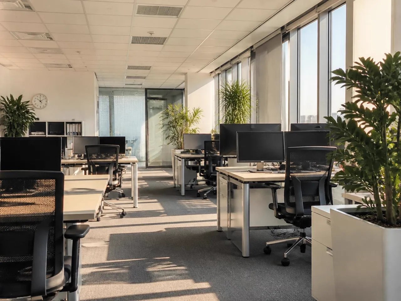 Tidy modern open-plan office with clean desks and plants